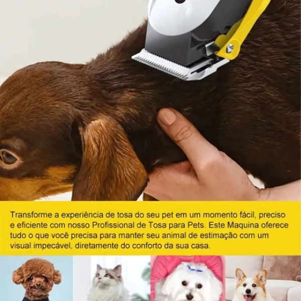 Máquina De Tosa Bmax Profissional Sem Fio Silenciosa